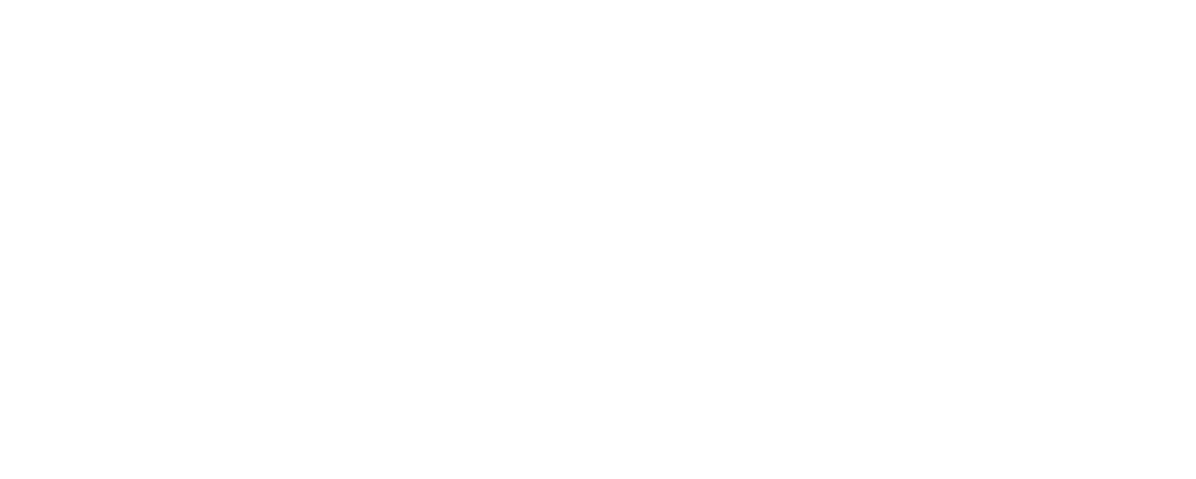 nds academy white